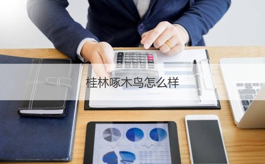 桂林啄木鳥 一家專注電子產品的本地企業探析